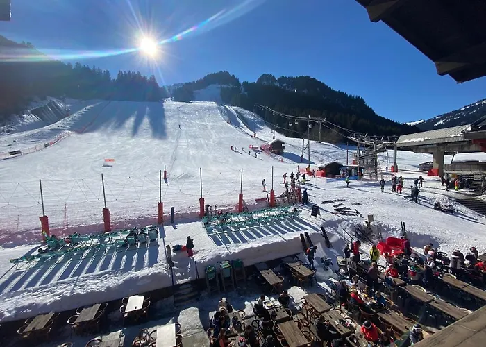 Le Schuss 3* Châtel